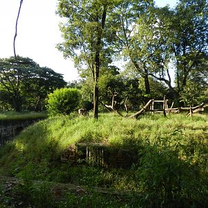 Jaguar exhibit at sunset - Belo Horizonte zoo