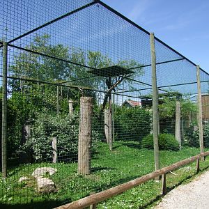 Enclosure for eagles