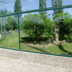 Enclosure Caracal caraca