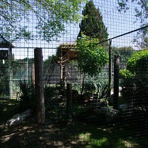 Enclosure for owl