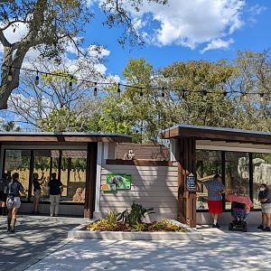 Hamadryas baboon main viewing areas