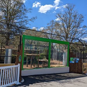 Florida Black Bear from water ride viewing