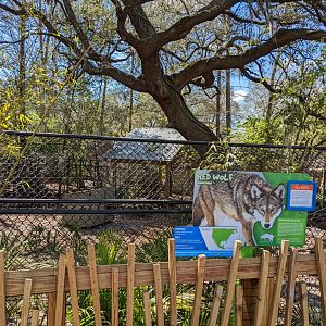 New red wolf habitat