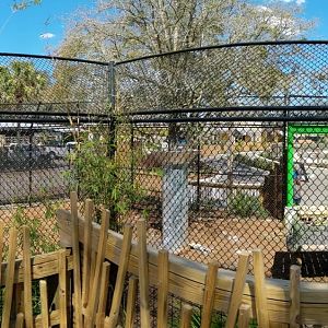 Black bear habitat #1