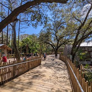 Boardwalk between black bear and owls/flamingo