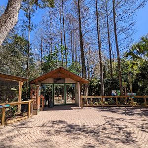 Wild Florida looking towards the stripped skunk habitat.