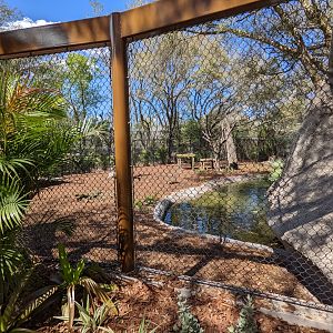Side view of black bear habitat #2
