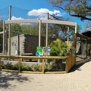 The panther habitat #1