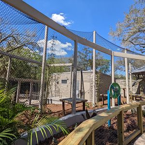 The panther habitat #1