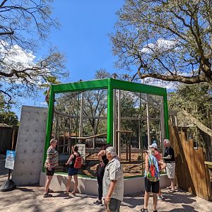 Florida panther habiat #3