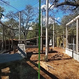 Long view of panther habitat #3