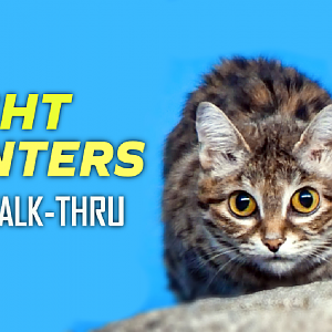Night Hunters Full Walkthrough | Zoo Tours