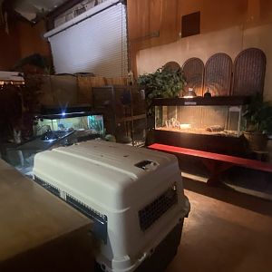 Reptile House - Room #2