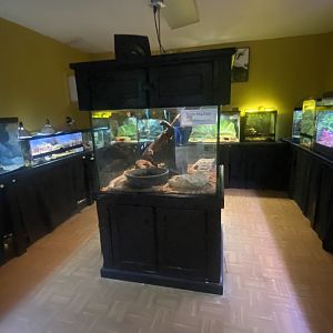 Reptile House - Room #1