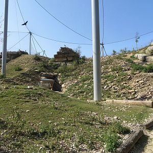 Vulture + Ibex aviary