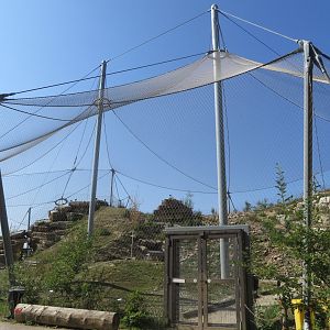 Vulture + Ibex aviary