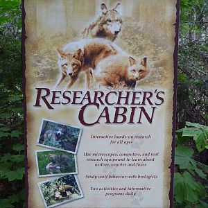 Wolf/Coyote/Red Fox Signage