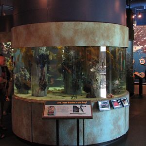 Discover the Bay - Pier Exhibit