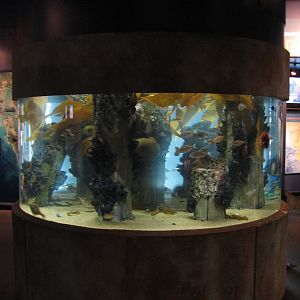 Discover the Bay - Pier Exhibit