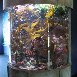 Discover the Bay - Rocky Exhibit