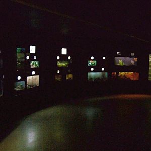 Small Animal Building