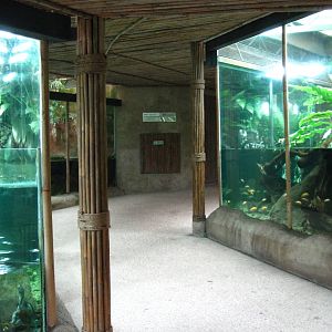Freshwater displays, Singapore Zoo