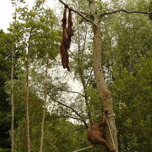 DEMO HANGING ON A WING AND A PRAYER.