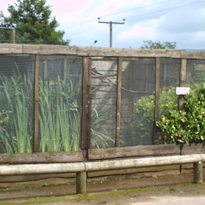 Very well planted enclosures!!