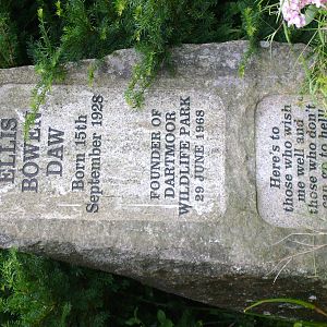 By the house in the park