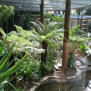 Finished fishing cat cage