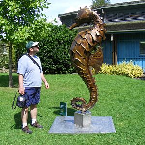 Seahorse sculpture at Marwell Wildlife, 14 August 2009