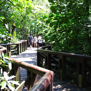 Jungle Jewels, Jurong Bird Park