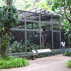 Cockatoo Aviary, Parrot Paradise - Jurong Bird Park