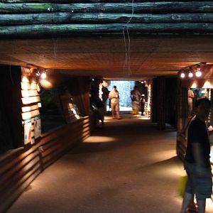 Critters Longhouse, Singapore Zoo