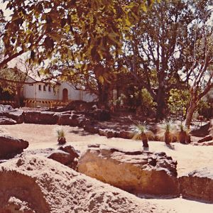 Kangaroo enclosure - 1982
