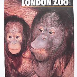 London Zoo !983 Guide Book