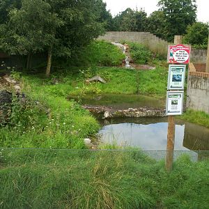 Asian small clawed otter enclosure