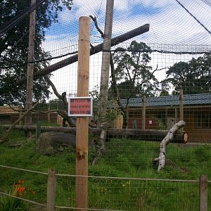 Mayotte lemur enclosure