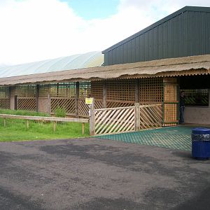 Exterior view of rhino house