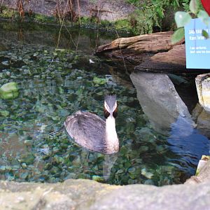 Universeum - Water´s Way