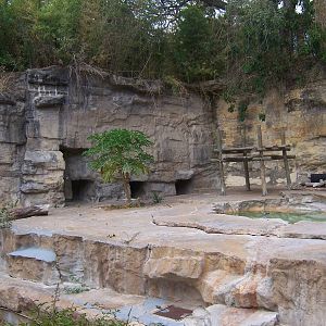 Spectacled Bear Grotto