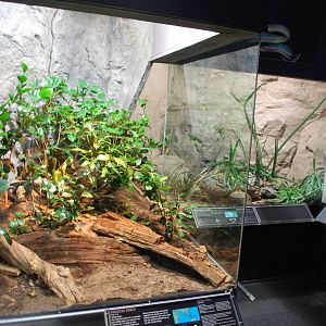 Universeum - the Deadly But Beautiful exhibition