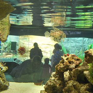 Universeum - the Deadly But Beautiful exhibition