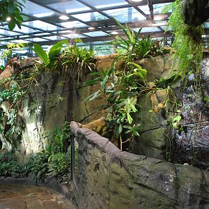 Universeum - The Rain Forest