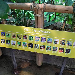 Universeum - The Rain Forest