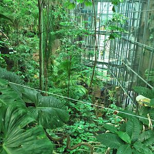 Universeum - The Rain Forest