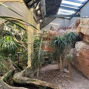 African aviary at Artis