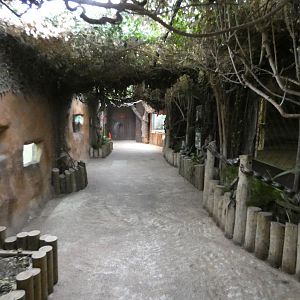 Secret world of the okapi viewing area