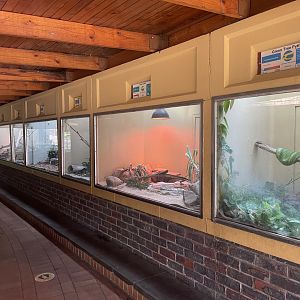 View in Reptile Hall