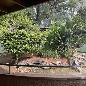 Mixed Reptile Enclosure